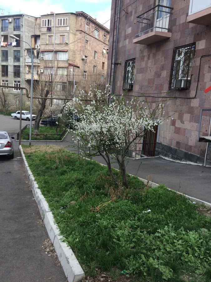 Apartment In The Center Of Jerevan Exteriör bild